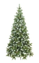 Фото Ель Кронштадтская 2,2 м Ель Кронштадтская 2,2 м