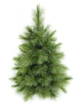 Фото Ель Лапландия с инеем 0,6 м Ель Лапландия с инеем 0,6 м