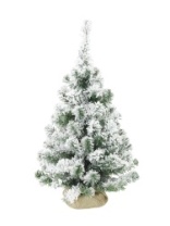 Фото Ель Вьюга зеленая заснеженная в мешке 0,6 м Ель Вьюга зеленая заснеженная в мешке 0,6 м