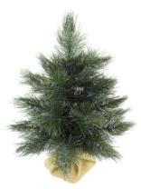 Ель Моника зеленая 0,3 м (10)