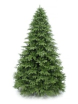 Фото Ель Галактика зеленая 2,7 м Ель Галактика зеленая 2,7 м