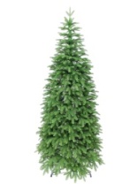 Ель Эстелла зеленая 2,4 м
