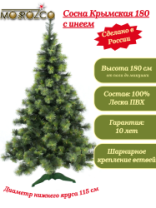 Сосна Крымская зеленая с инеем 1,8 м