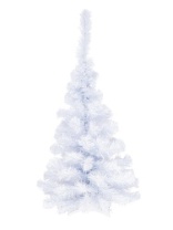 Фото Ель Жемчужная белая 0,9 м Ель Жемчужная белая 0,9 м