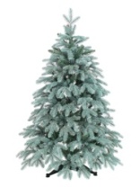 Фото Ель Виола голубая 1,2 м Ель Виола голубая 1,2 м