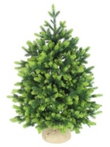 Ель Андромеда зеленая 0,75 м
