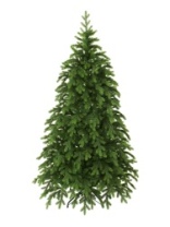 Фото Ель Greenlandya зеленая 1,8 м Ель Greenlandya зеленая 1,8 м