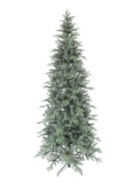 Ель Сапфир голубая с шишками 2,4 м