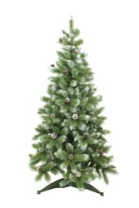 Ель Кронштадтская 1,6 м