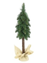 Ель Гномик зеленая на высокой ножке в мешке 0,6 м (7)