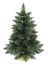 Ель Моника зеленая 0,6 м