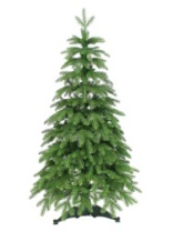 Фото Ель Эстелла зеленая 1,2 м Ель Эстелла зеленая 1,2 м