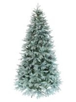 Ель Виола голубая 2,1 м