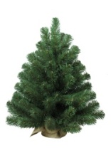 Фото Ель Фея зеленая в мешке 0,6 м Ель Фея зеленая в мешке 0,6 м