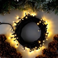 Электрогирлянда 'Нить' 10 м , IP44, тёмная нить, 100 LED, свечение тёплое белое, 8 режимов, 220 В