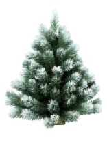 Фото Ель Фея зеленая заснеженная с шишками в мешке 0,6 м Ель Фея зеленая заснеженная с шишками в мешке 0,6 м