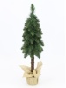 Ель Гномик зеленая на высокой ножке в мешке 0,7 м (3)