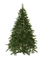 Фото Ель Монтана Премиум зеленая с шишками 1,5 м Ель Монтана Премиум зеленая с шишками 1,5 м