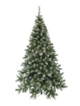 Ель Альпийская заснеженная с шишками 3,0 м