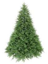 Ель California зеленая 2,4 м