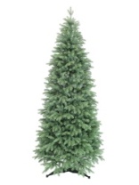 Ель Лея голубая 2,1 м