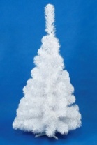 Ель Скандинавская белая 1,0 м