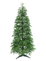 Ель Ассоль зеленая 2,4м