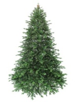 Ель Изумрудная зеленая 2,5 м