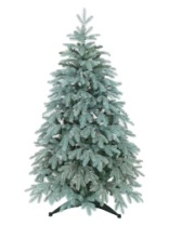 Фото Ель Виола голубая 1,5 м Ель Виола голубая 1,5 м