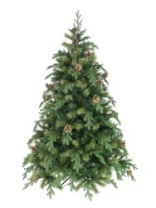 Фото Ель Боярская зеленая с шишками 1,8 м Ель Боярская зеленая с шишками 1,8 м