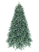 Ель Сириус зеленая с голубым 2,2 м