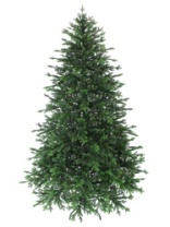 Ель Изумрудная зеленая 2,2 м