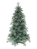 Фото Ель Blue Anson голубая 1,8 м Ель Blue Anson голубая 1,8 м