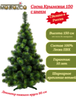 Сосна Крымская зеленая с инеем 1,5 м