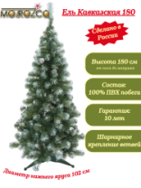 Ель Кавказская зеленая заснеженная с шишками 1,8 м