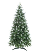 Фото Ель Кронштадтская 1,9 м Ель Кронштадтская 1,9 м