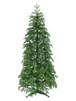 Ель Ассоль зеленая 2,1 м