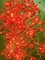 Электрогирлянда Рис с декором из оранжевых бус  80л, 8ф, (18) прозрачный провод, желтый цвет ламп