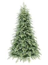 Фото Ель Мистерия зеленая с голубым 2,4 м Ель Мистерия зеленая с голубым 2,4 м