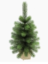 Фото Ель Лира зеленая в мешке 0,45 м (5) Ель Лира зеленая в мешке 0,45 м (5)