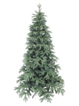 Фото Ель Blue Anson голубая 2,1 м Ель Blue Anson голубая 2,1 м