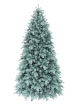 Ель Монблан голубая 2,1 м