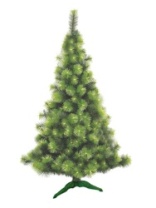 Сосна Крымская зеленая 1,2 м