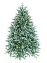 Ель Монреаль зеленая с голубым 1,6 м