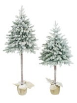 Фото Ель Мия зеленая заснеженная на высокой ножке в мешке 1,5 м Ель Мия зеленая заснеженная на высокой ножке в мешке 1,5 м