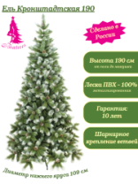 Ель Кронштадтская 1,9 м