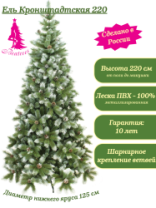 Ель Кронштадтская 2,2 м