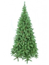Ель Онежская зеленая с шишками и инеем 2,5 м