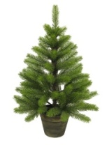 Ель Gloria зеленая в кашпо 0,6 м