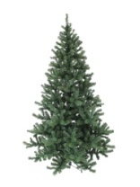 Фото Ель Торонто зеленая 2,4 м Ель Торонто зеленая 2,4 м